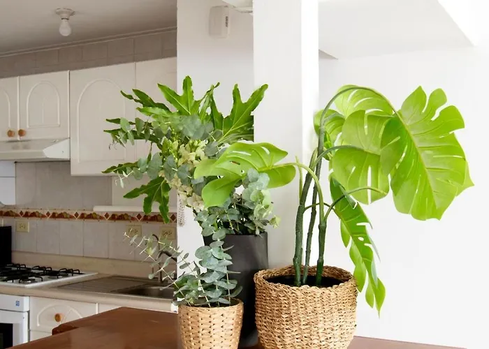 Apartamento Tropical Mega Mexican *